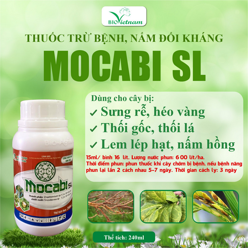 Mocabi hạn chế được nấm bệnh phát triển