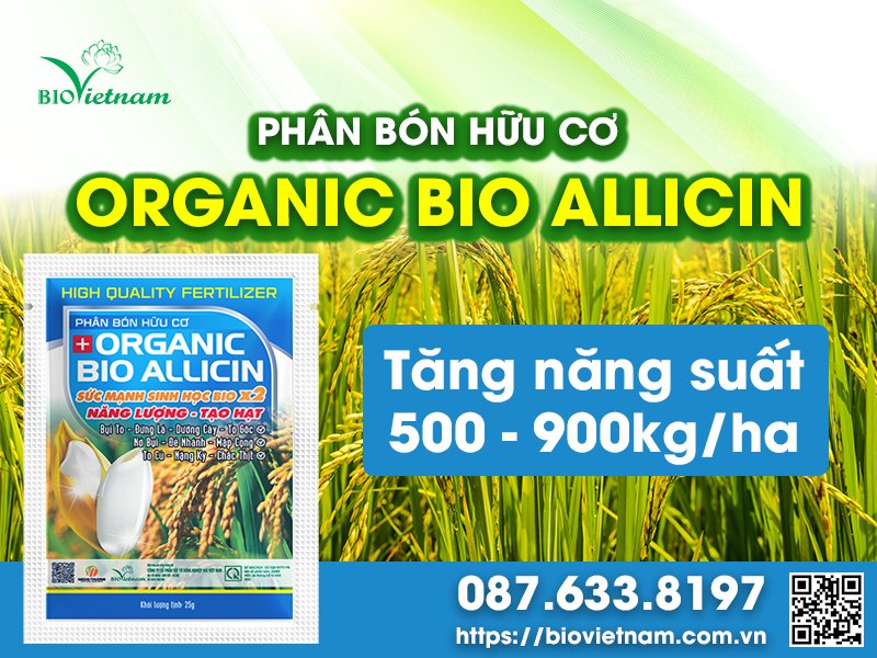 Phân bón hữu cơ Organic Bio Allicin