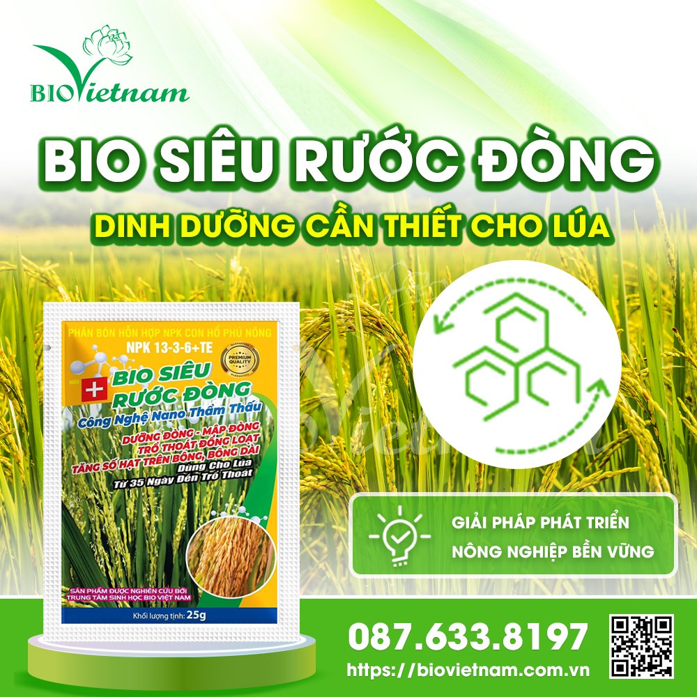 Phân bón lá Bio Siêu Rước Đòng - dinh dưỡng cần thiết cho cây lúa