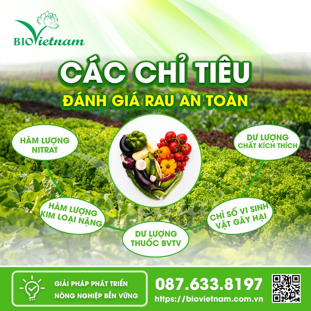 Các tiêu chí đánh giá rau an toàn 