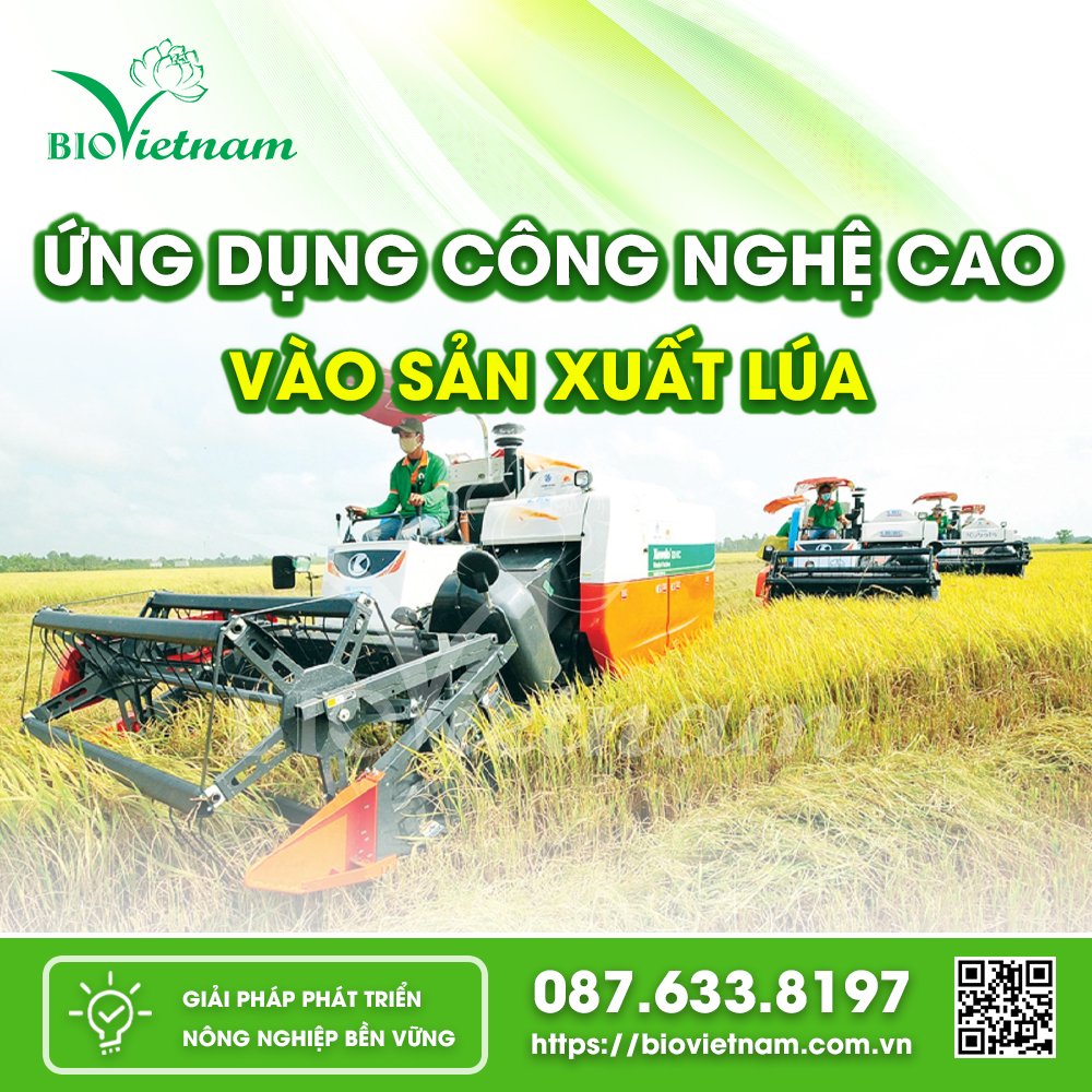 Ứng dụng công nghệ cao vào quá trình sản xuất lúa