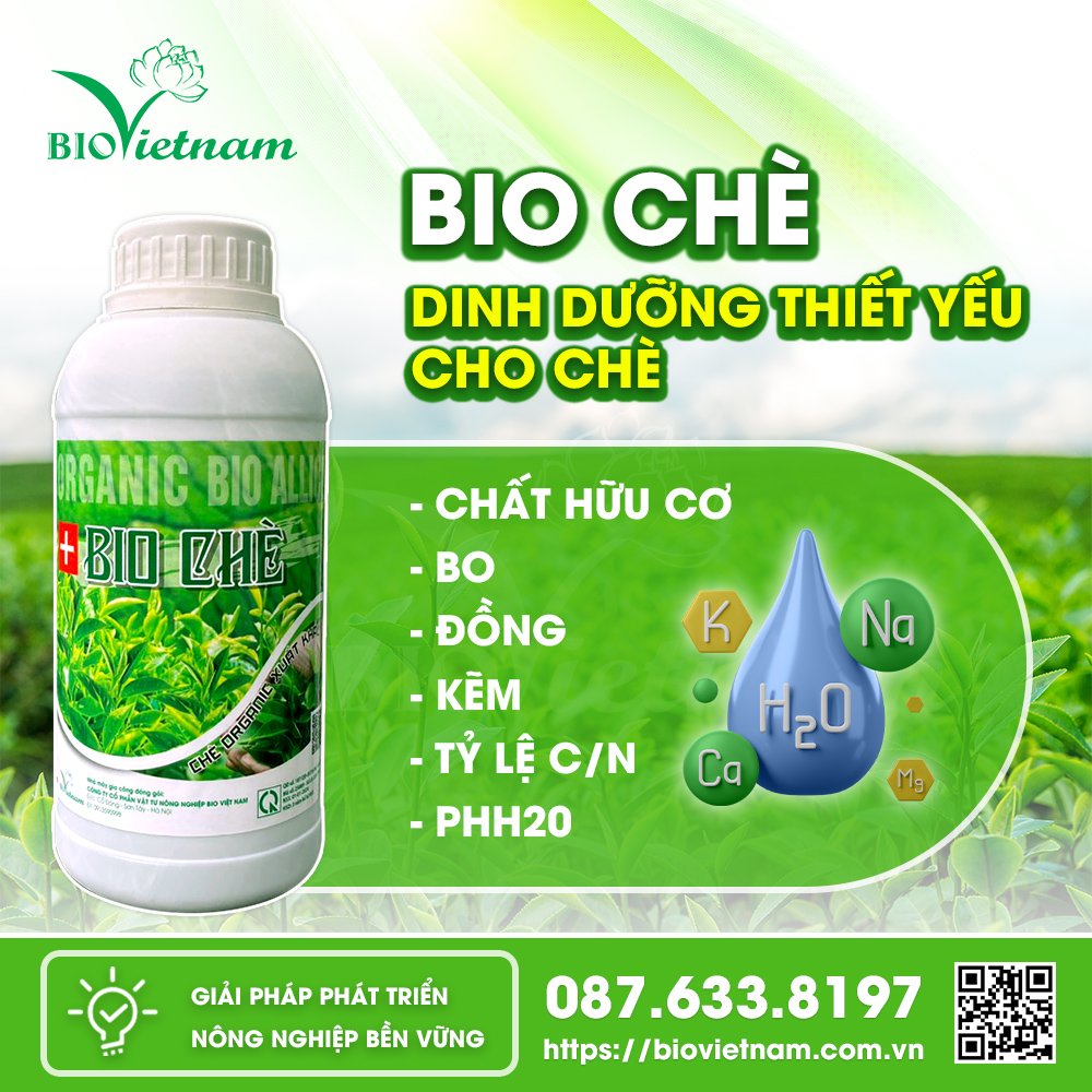 Bio Chè - "thức ăn" dinh dưỡng dành cho cây chè