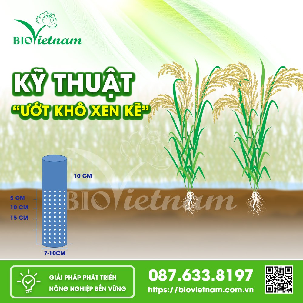 Kỹ thuật ướt khô xen kẽ