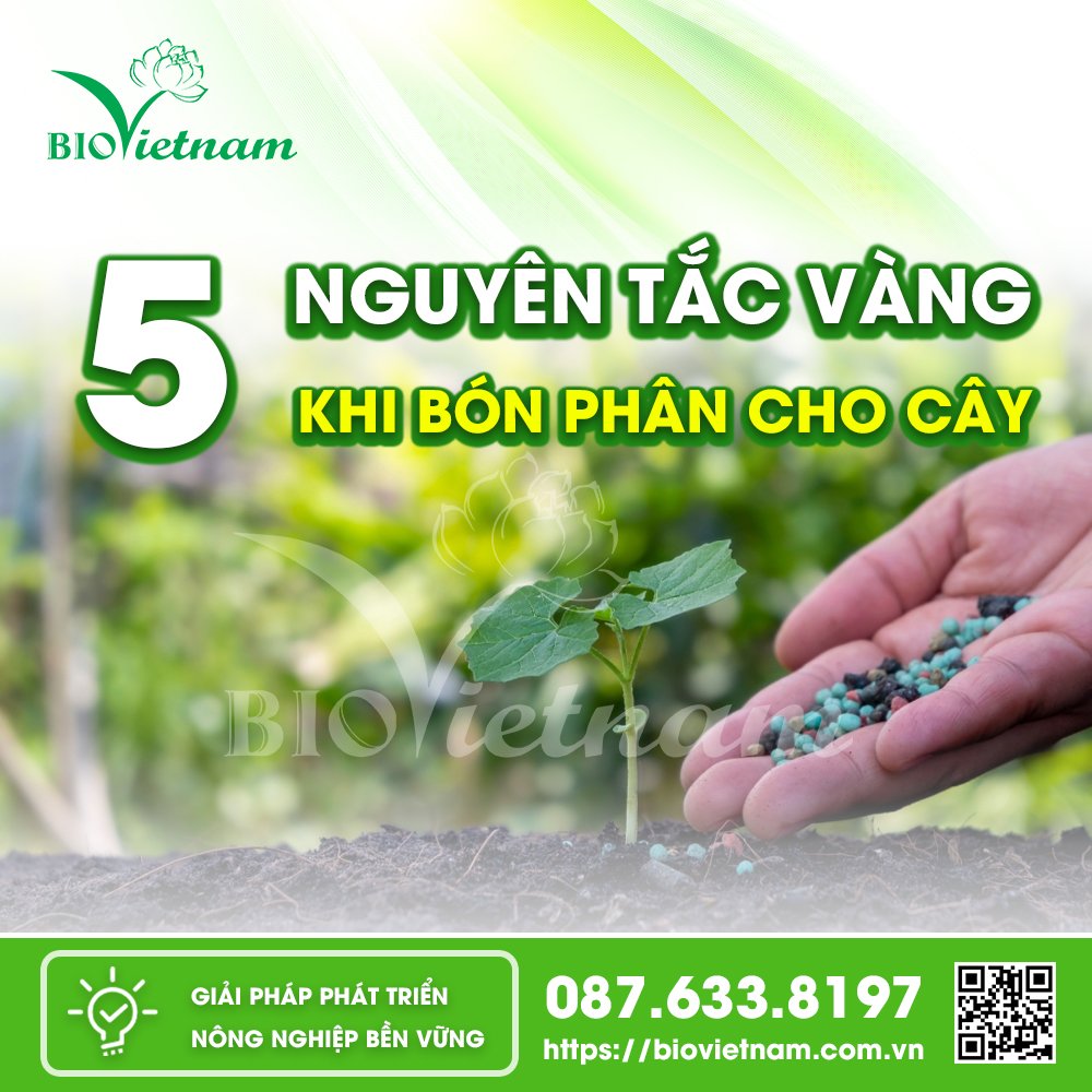 5 nguyên tắc vàng bón phân hợp lý