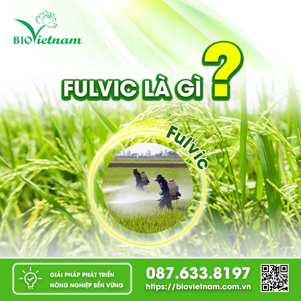 Fulvic đang được coi là một yếu tố quan trọng không thể bỏ qua đối với nông nghiệp