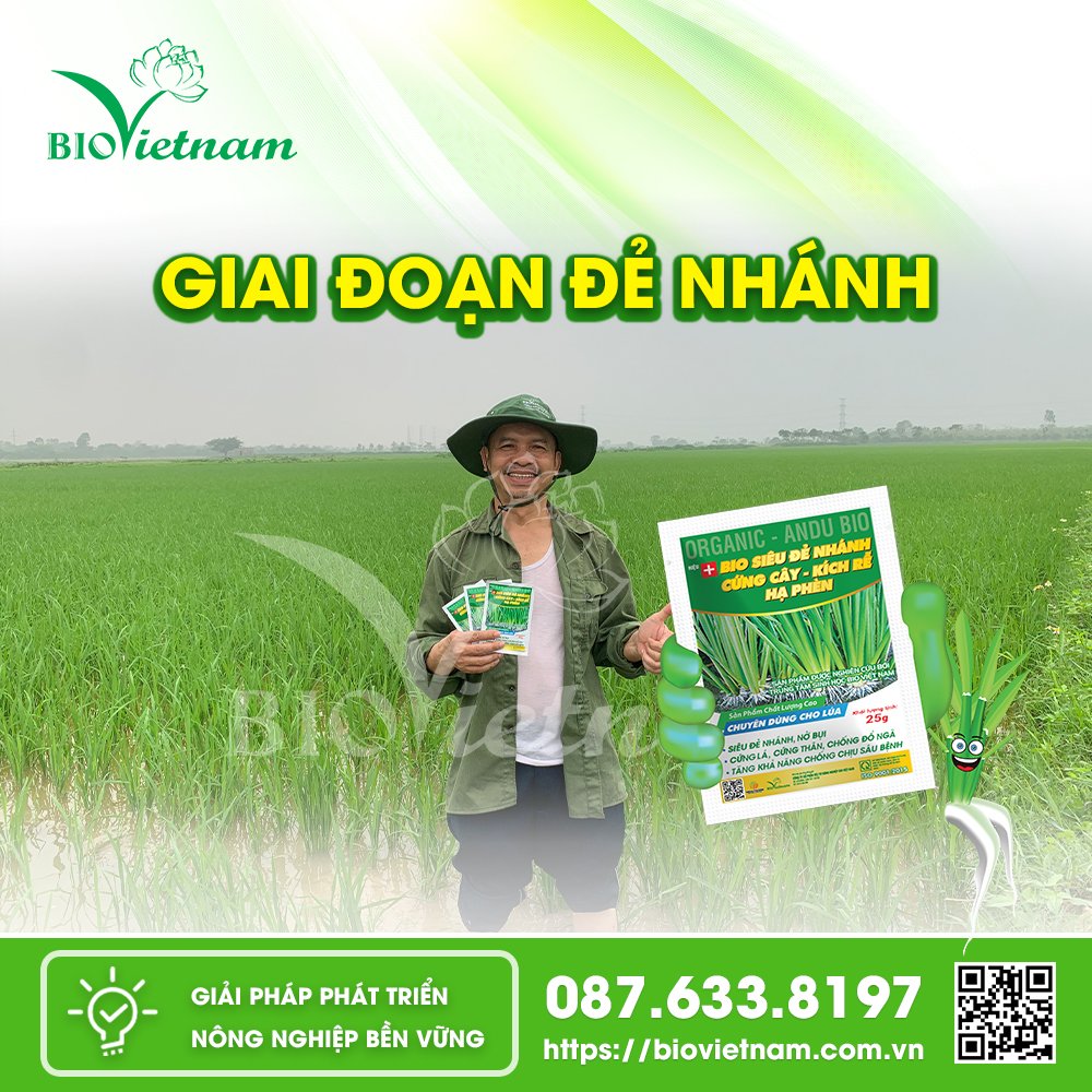 Phân bón Bio Siêu Đẻ Nhánh - Cứng cây, kích rễ, hạ phèn cho mùa vụ