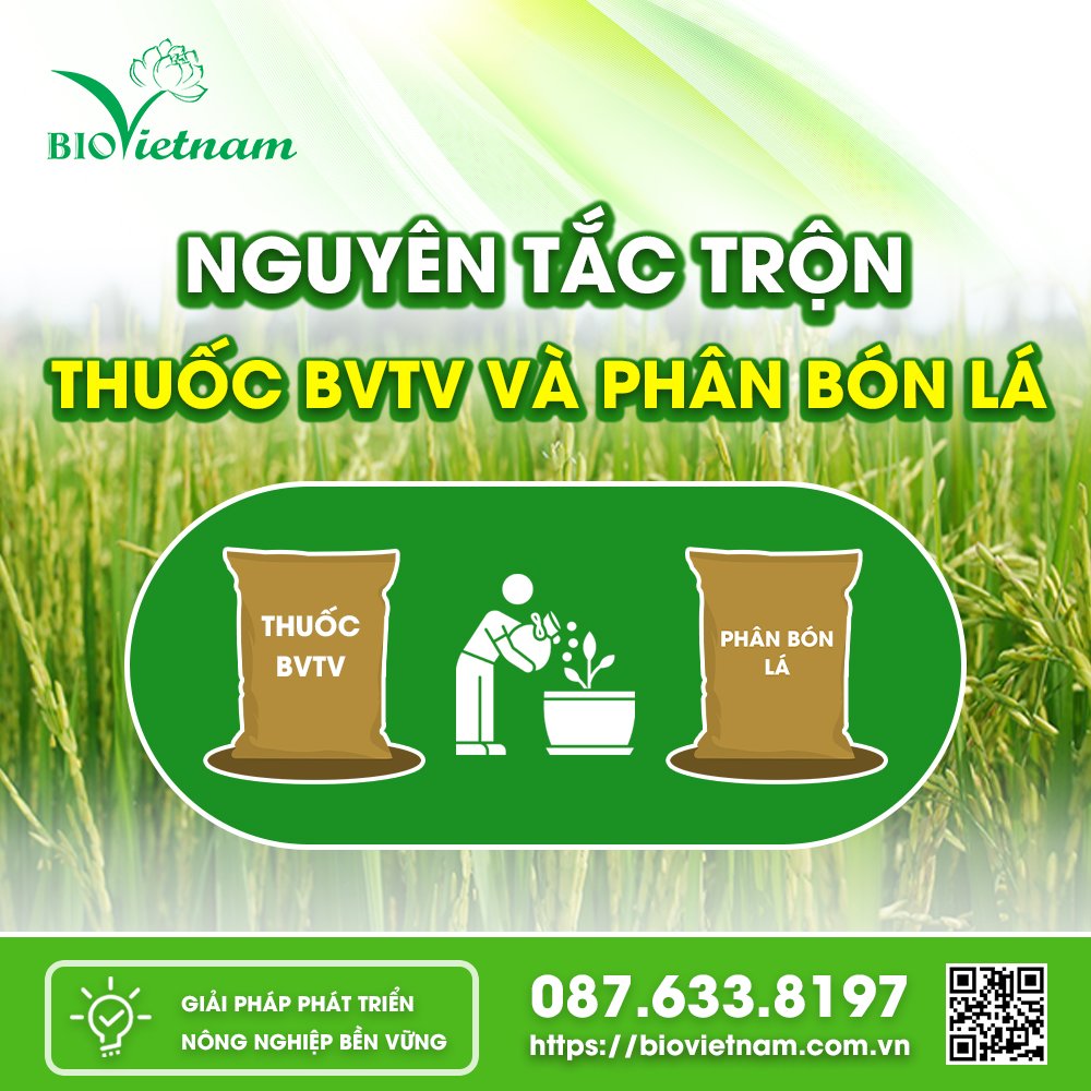 Cần đảm bảo những nguyên tắc trộn thuốc Bảo vệ thực vật và Phân bón lá