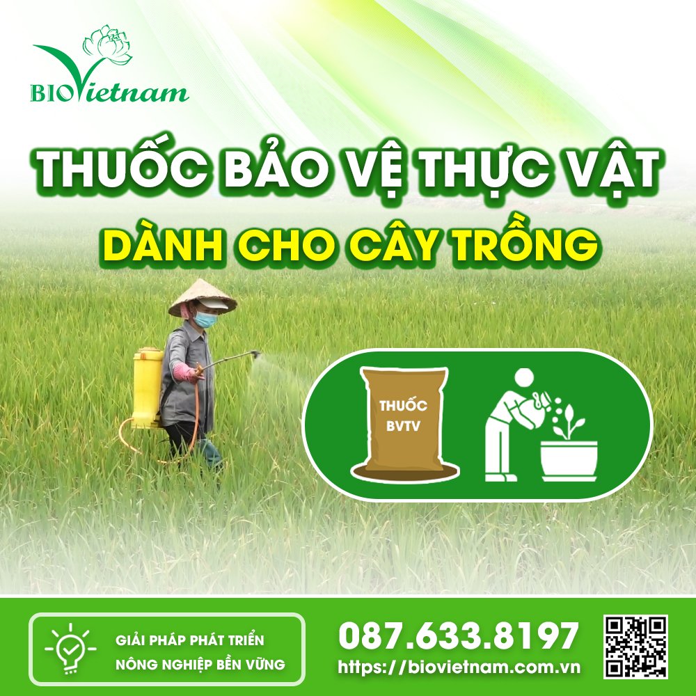 Thuốc bảo vệ thực vật bảo vệ cây trồng 