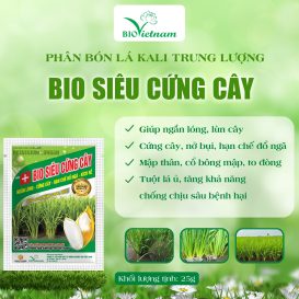 Bio Siêu Cứng Cây - Ngắn Lóng, Cứng Cây, Hạn Chế Đổ Ngã, Kích Rễ