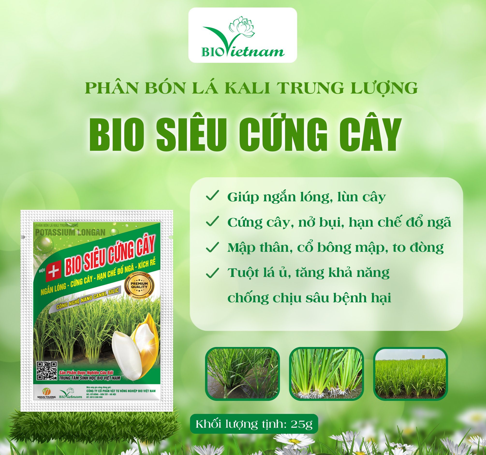 Bio Siêu Cứng Cây - Ngắn Lóng, Cứng Cây, Hạn Chế Đổ Ngã, Kích Rễ