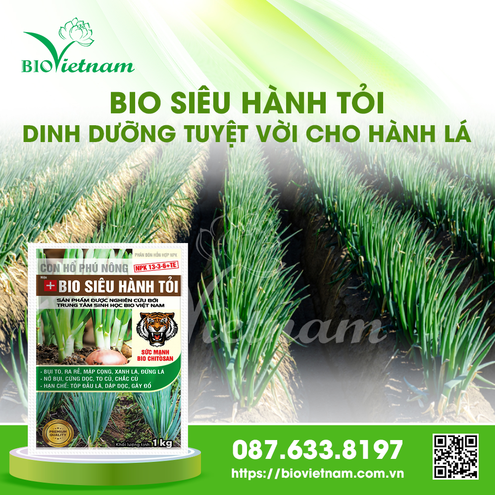 Bio Siêu Hành Tỏi là nguồn cung cấp dinh dưỡng phù hợp cho hành lá