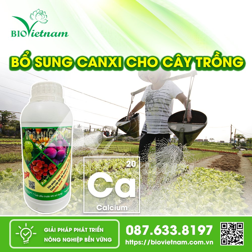Phân bón Supe Lân Canxi Bo Kẽm bổ sung dinh dưỡng canxi cho cây trồng