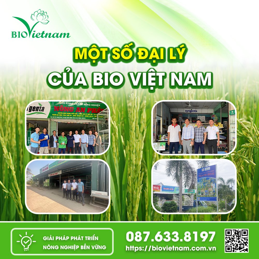 Một số đại lý của Bio Việt Nam