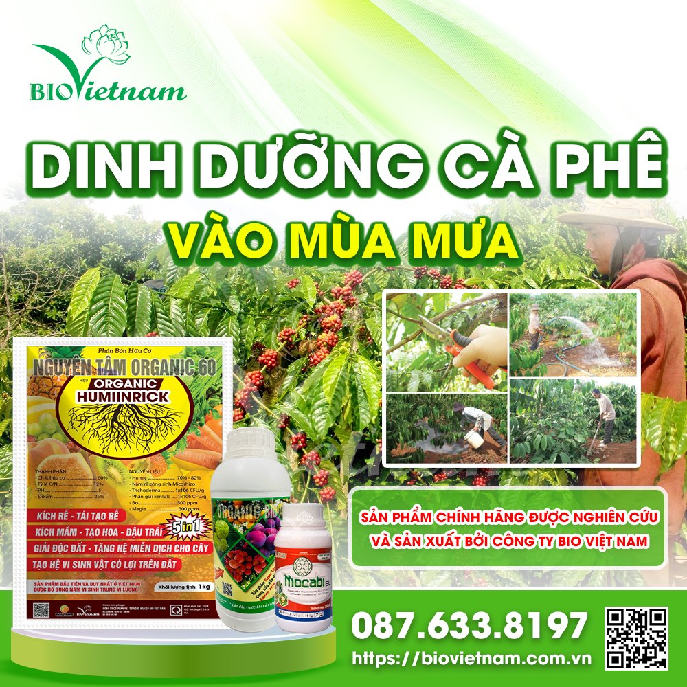 Bộ sản phẩm phòng trừ bệnh và tăng sức đề kháng cho cây cà phê