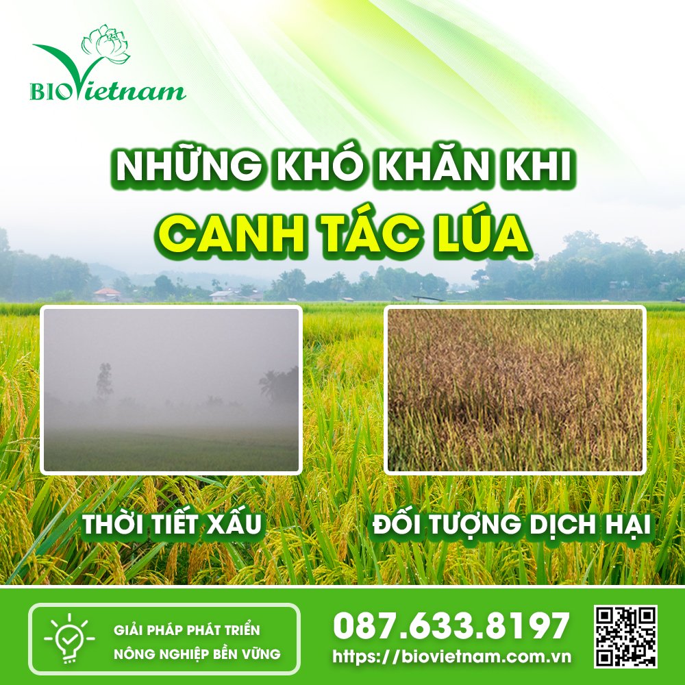 Thời tiết xấu và Đối tượng dịch ảnh gây nên những khó khăn cho bà con nông dân 