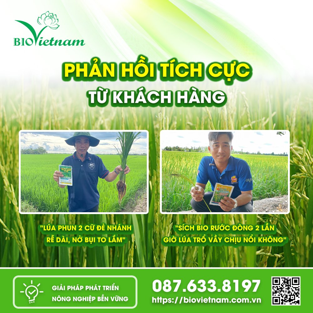 Những phản hồi tích cực của bà con là động lực của Bio Việt Nam