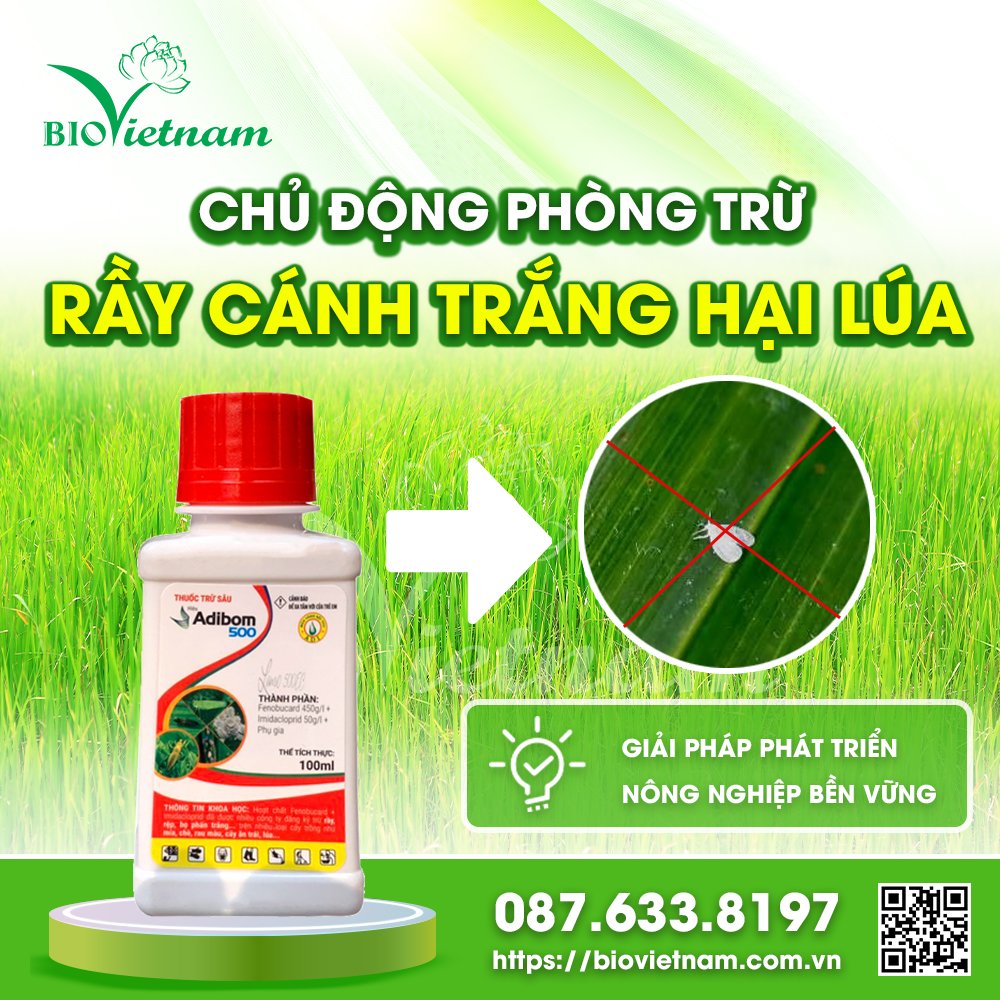 Rầy cánh trắng hại lúa và những biện pháp phòng trừ hiệu quả