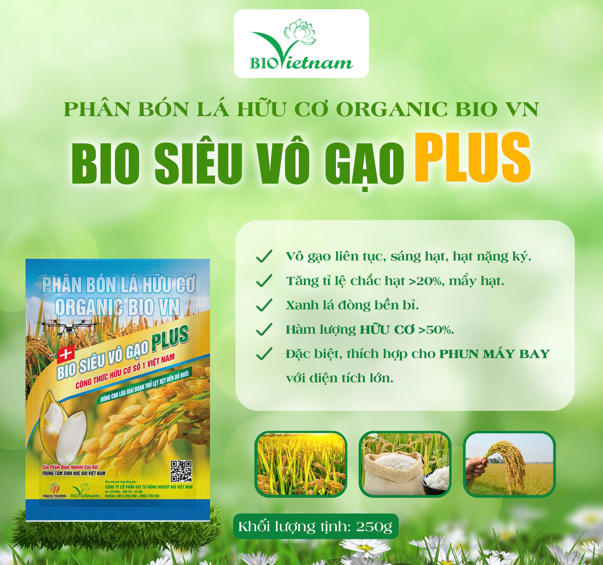 Bio Siêu Vô Gạo Plus - Vô Gạo Liên Tục, Hạt Mẩy, Chắc Hạt