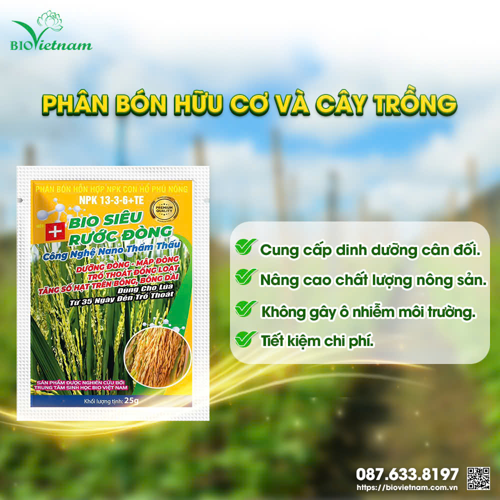 Phân bón hữu cơ giúp nâng cao chất lượng sản phẩm