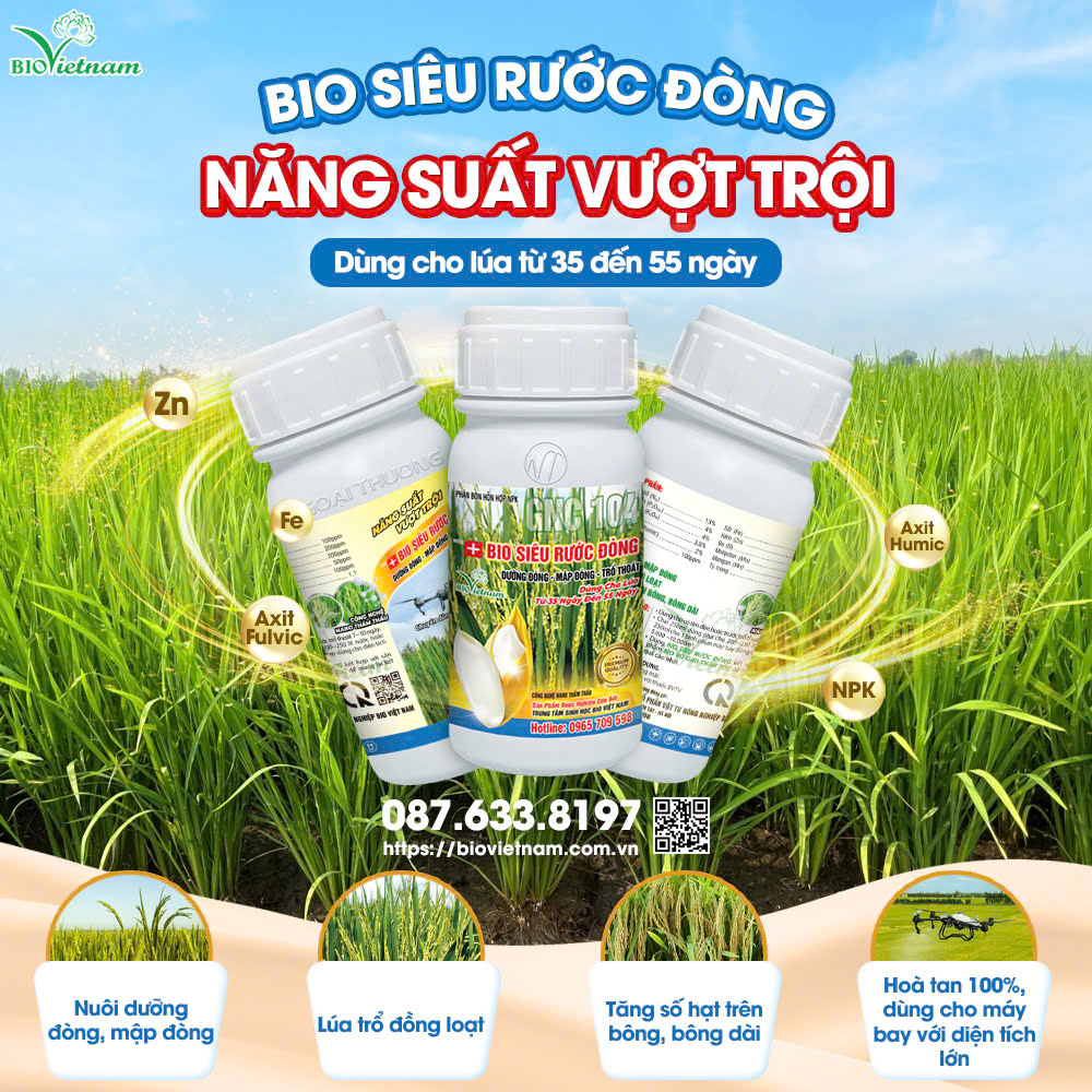 Bio Siêu Rước Đòng dạng chai 250ml phù hợp cho lúa giai đoạn Rước đòng