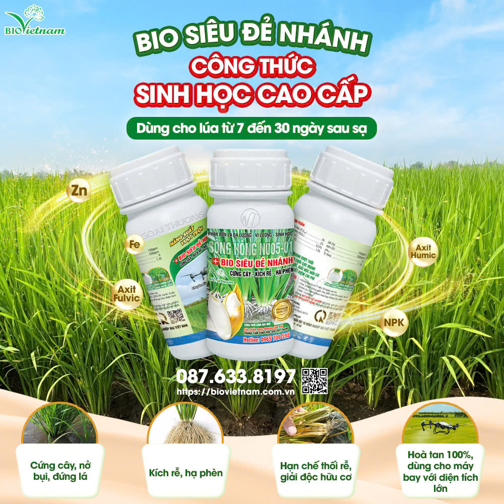 Phân bón sinh học dành cho lúa ở giai đoạn Đẻ nhánh