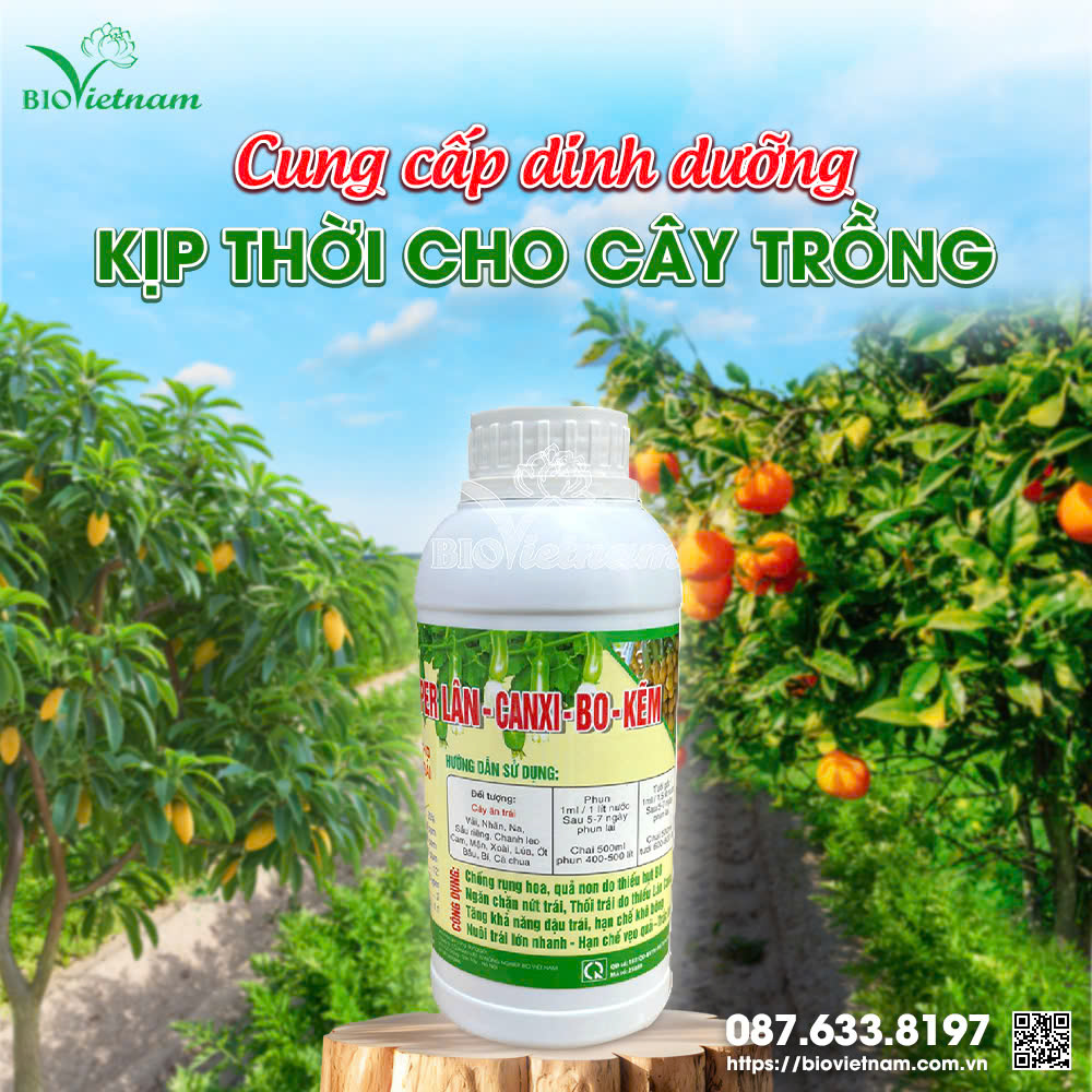 Sau mưa úng, cây trồng cần cung cấp dinh dưỡng để hồi phục sức khoẻ