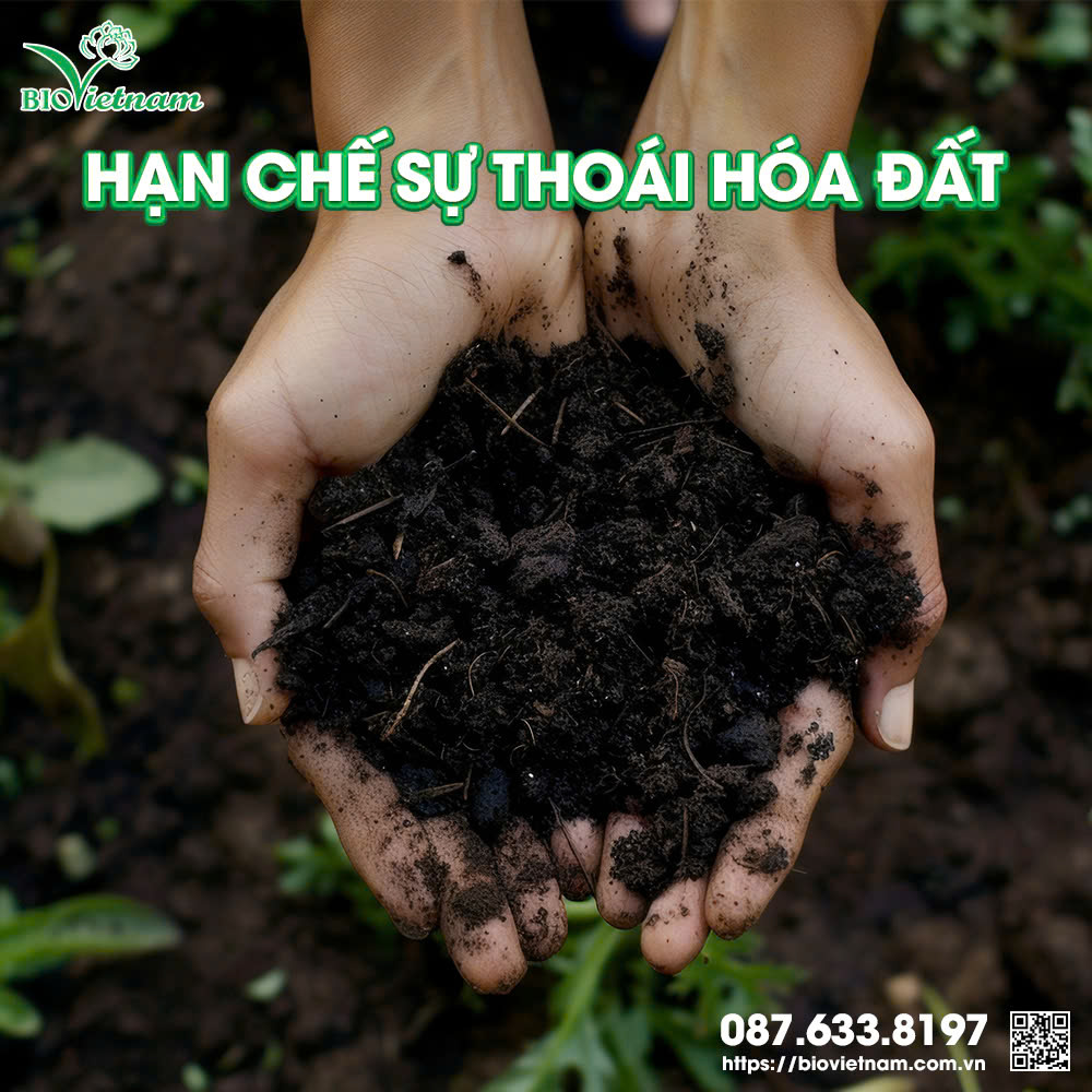 Phân bón lá làm giảm sự thoái hoá đất trồng