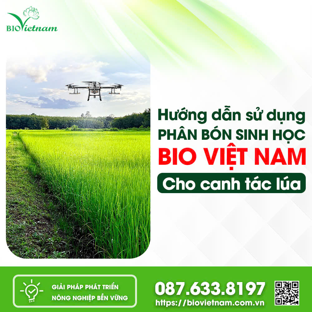 Hướng Dẫn Sử Dụng Phân Bón Sinh Học Bio Việt Nam