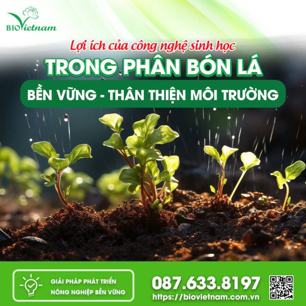 Lợi Ích Của Công Nghệ Sinh Học Trong Phân Bón Lá