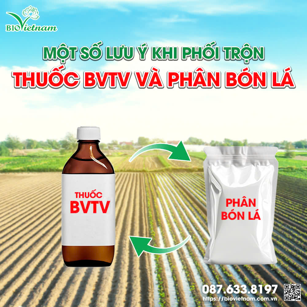 Khi phối trộn thuốc BVTV và phân bón lá cần lưu ý gì?