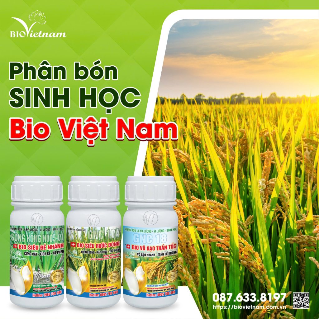 Bộ 3 sản phẩm phân bón sinh học cho lúa của Bio Việt Nam