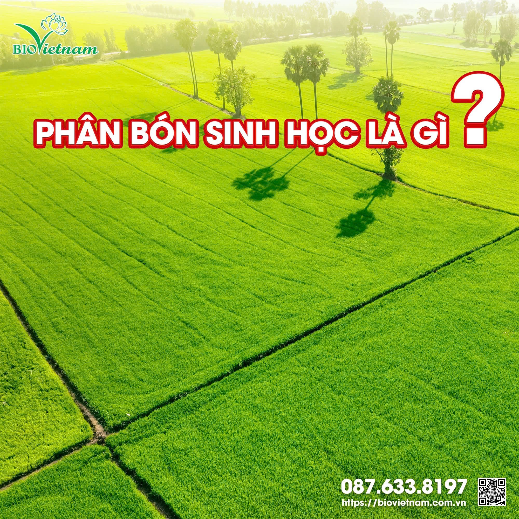 Phân bón sinh học Bio Việt Nam được sản xuất từ nguyên liệu tự nhiên