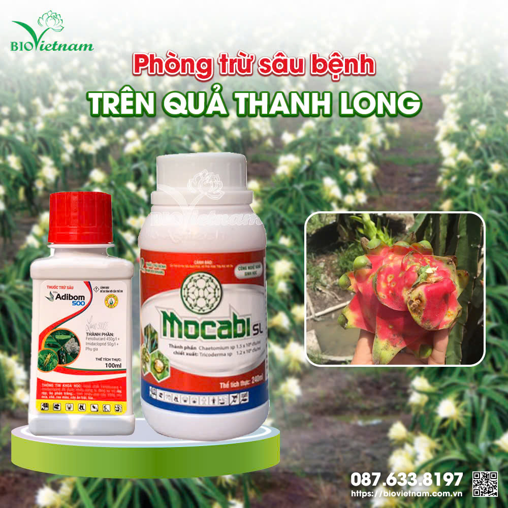 Bộ đôi phòng trừ sâu bệnh cho thanh long: Mocaibi SL và Adibom 500