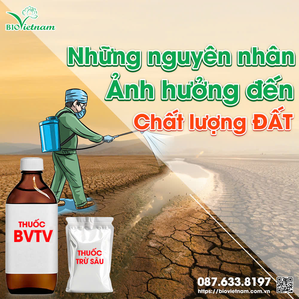 Sử dụng quá mức thuốc BVTV, thuốc trừ sâu và canh tác quá nhiều cũng ảnh hưởng tới đất trồng