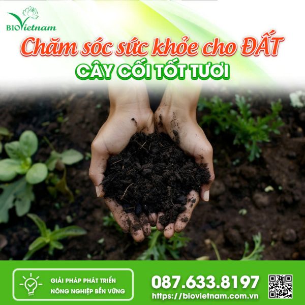 Chăm Sóc Sức Khoẻ Cho Đất Trồng