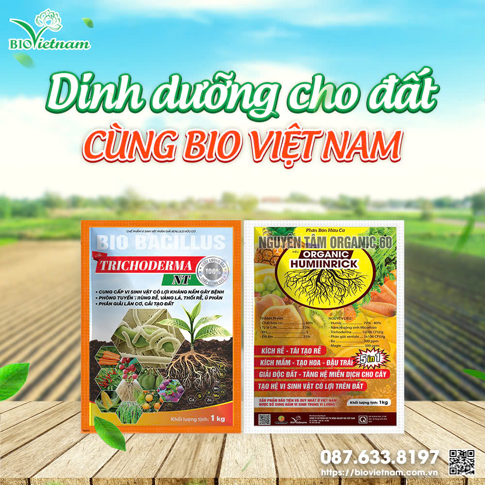 Bộ đôi dinh dưỡng cho đất trồng - Bio Việt Nam