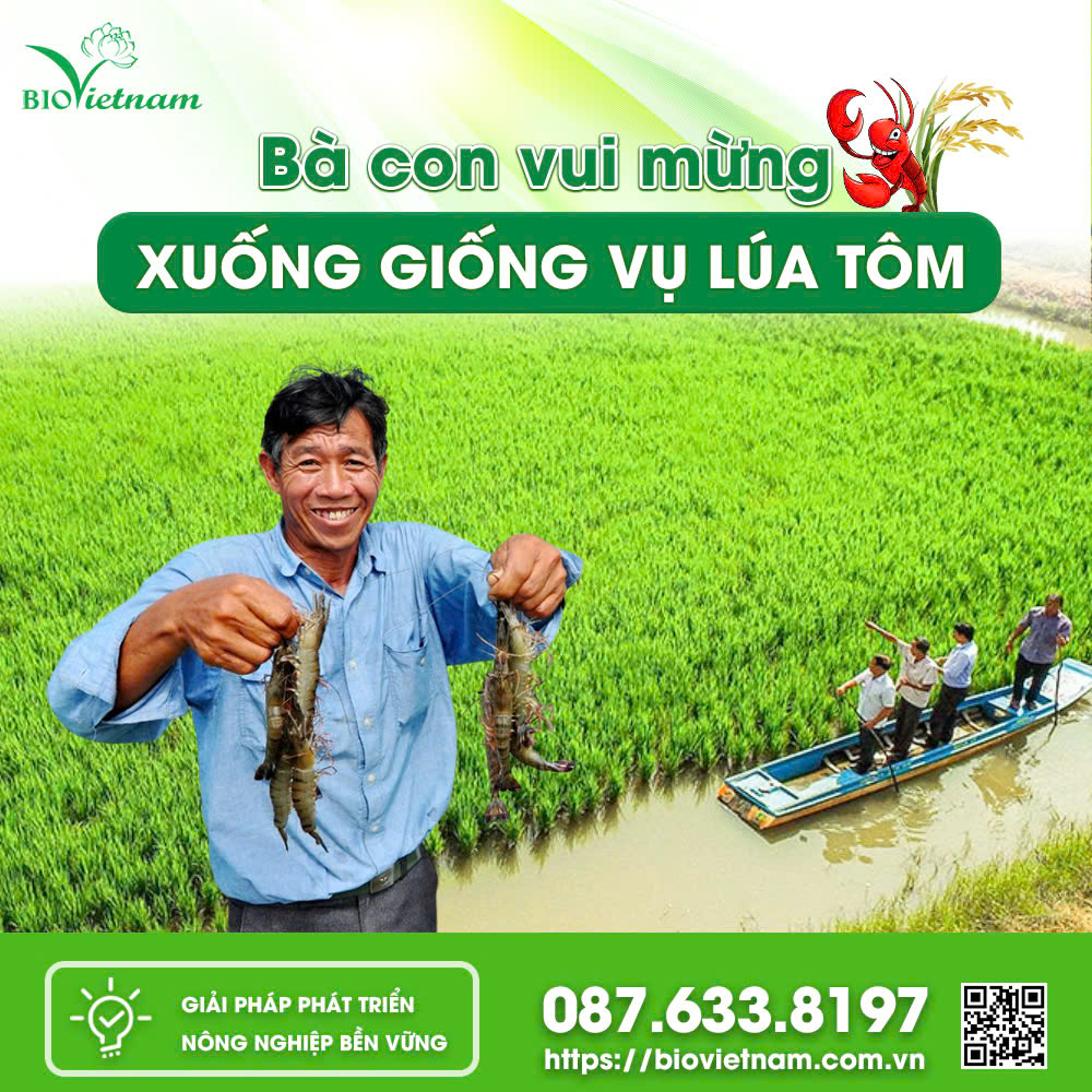 Bà Con Vui Mừng Xuống Giống Vụ Lúa Tôm