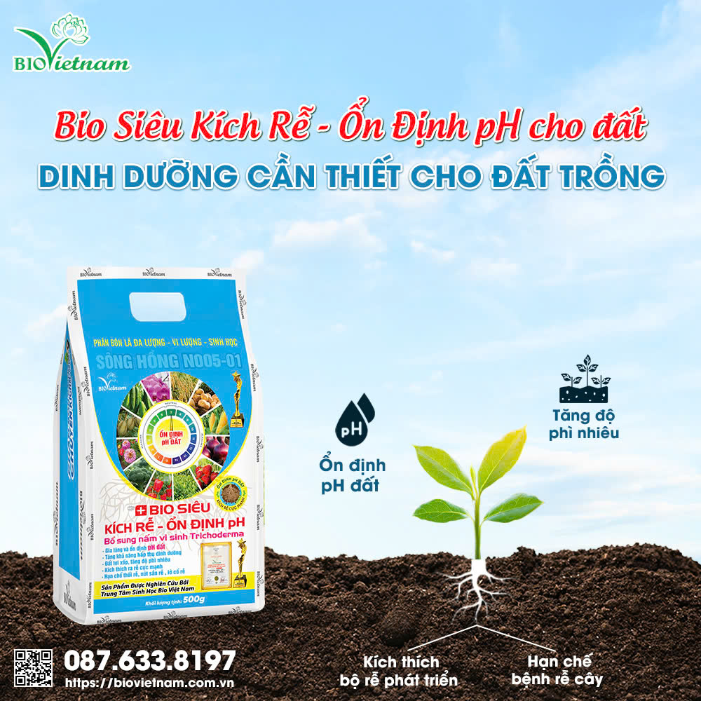 Bio Siêu Kích Rễ - Ổn Định pH - nguồn dinh dưỡng thiết yếu cho đất trồng