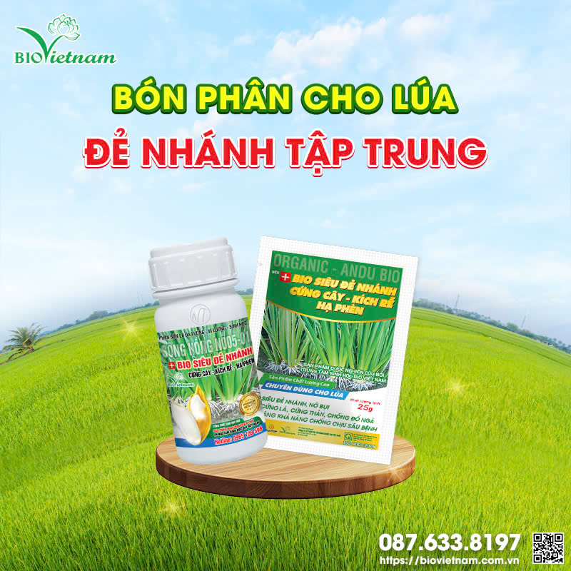 Bio Siêu Đẻ Nhánh dạng gói và dạng chai rất tiện lợi cho bà con sử dụng