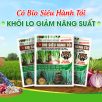 Bổ Sung Dinh Dưỡng Cho Hành Lá Với Phân Bón Bio Việt Nam