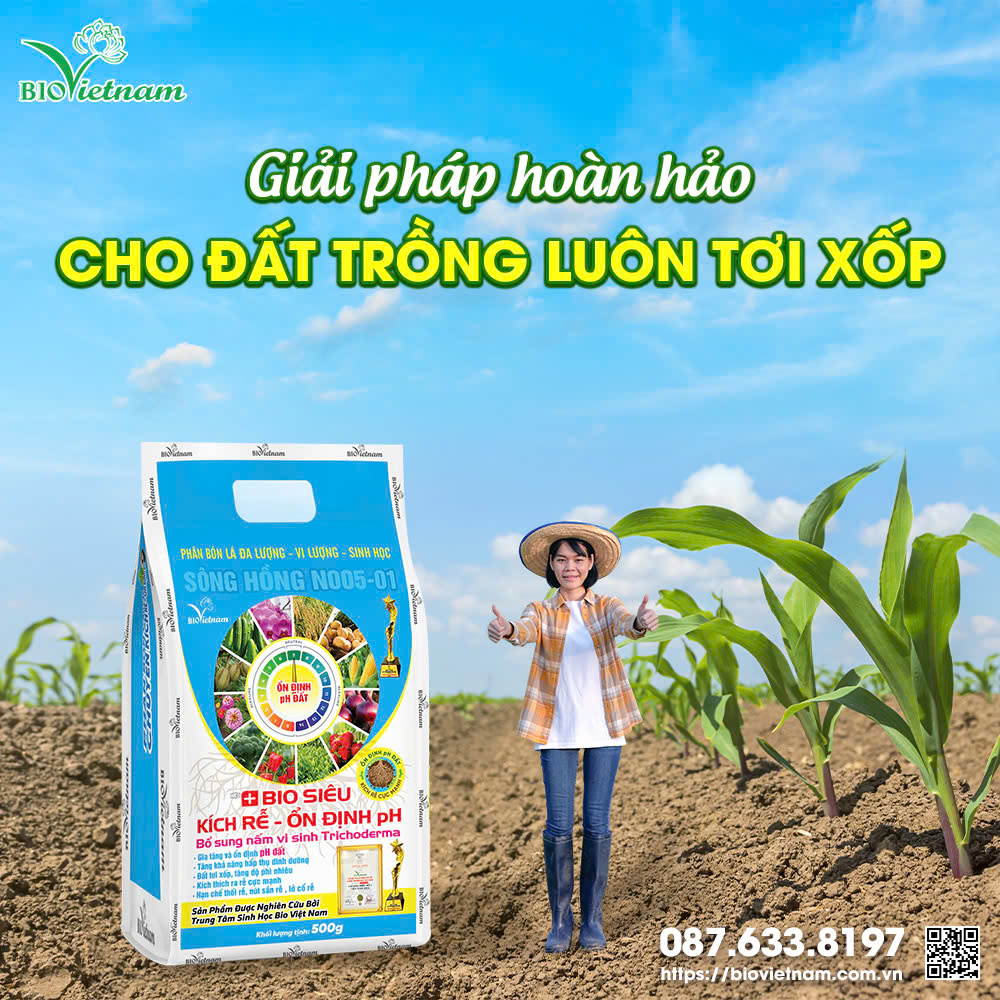 Phân bón Bio Siêu Kích Rễ - Ổn Định pH giúp đất luôn khoẻ mạnh và nhiều dinh dưỡng