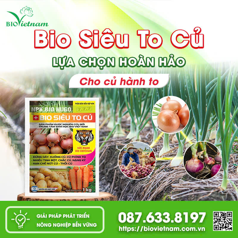 Bio Siêu To Củ - Phân bón hỗ trợ cây hành trong giai đoạn nuôi củ.