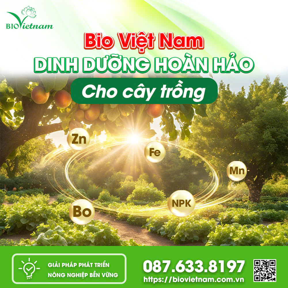 Bio Việt Nam - Dinh Dưỡng Hoàn Hảo Cho Cây Trồng