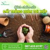 Cách Chăm Sóc Đất Trồng Luôn Tơi Xốp