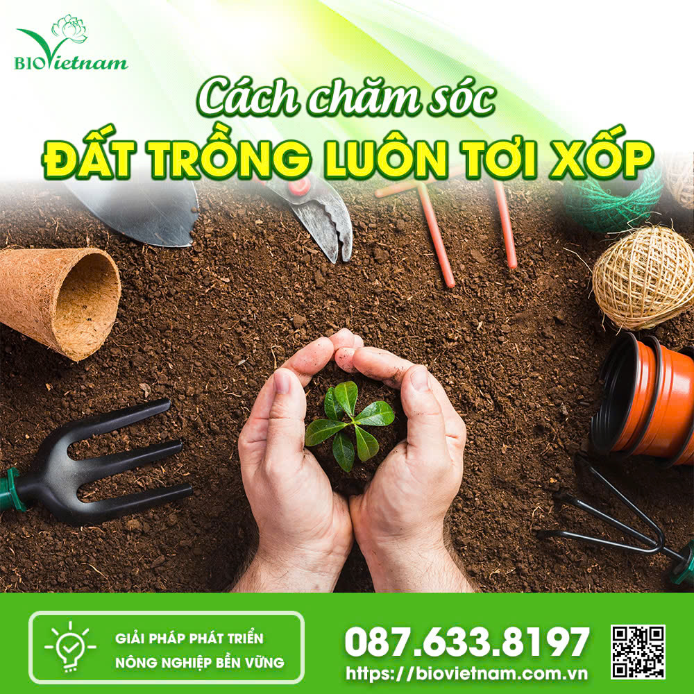 Cách Chăm Sóc Đất Trồng Luôn Tơi Xốp