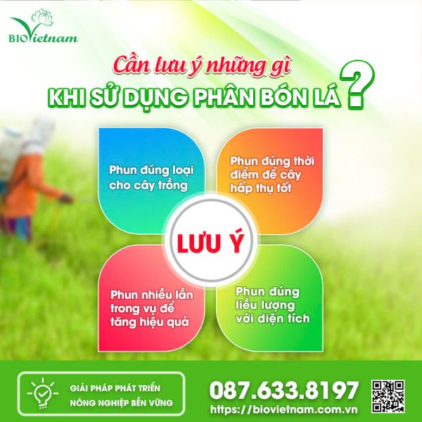 Cần Lưu Ý Những Gì Khi Sử Dụng Phân Bón Lá?