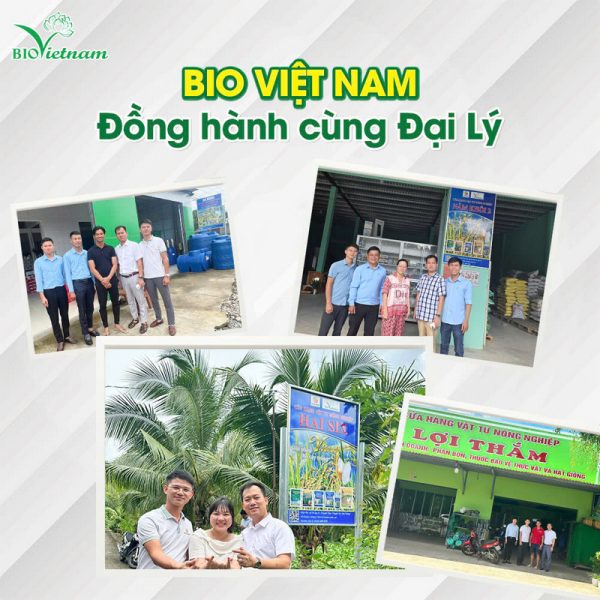 Niềm Vui Của Đại Lý Và Bà Con Khi Lựa Chọn Phân Bón Của Công Ty Bio Việt Nam