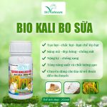 Bio Kali Bo Sữa – Lúa Chắc Hạt, Sáng Mã, Đẹp Bông