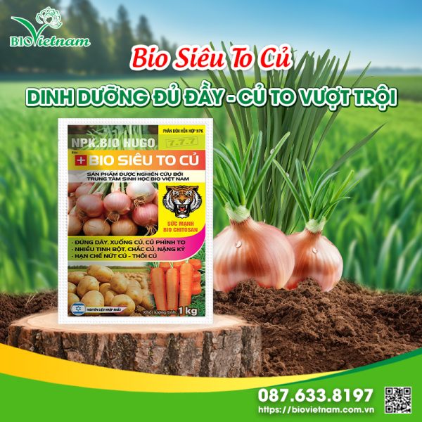 Bio Siêu To Củ – Dinh Dưỡng Đủ Đầy, Củ To Vượt Trội