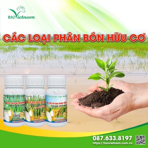 [TOPLIST] các loại phân bón hữu cơ tốt nhất 2025